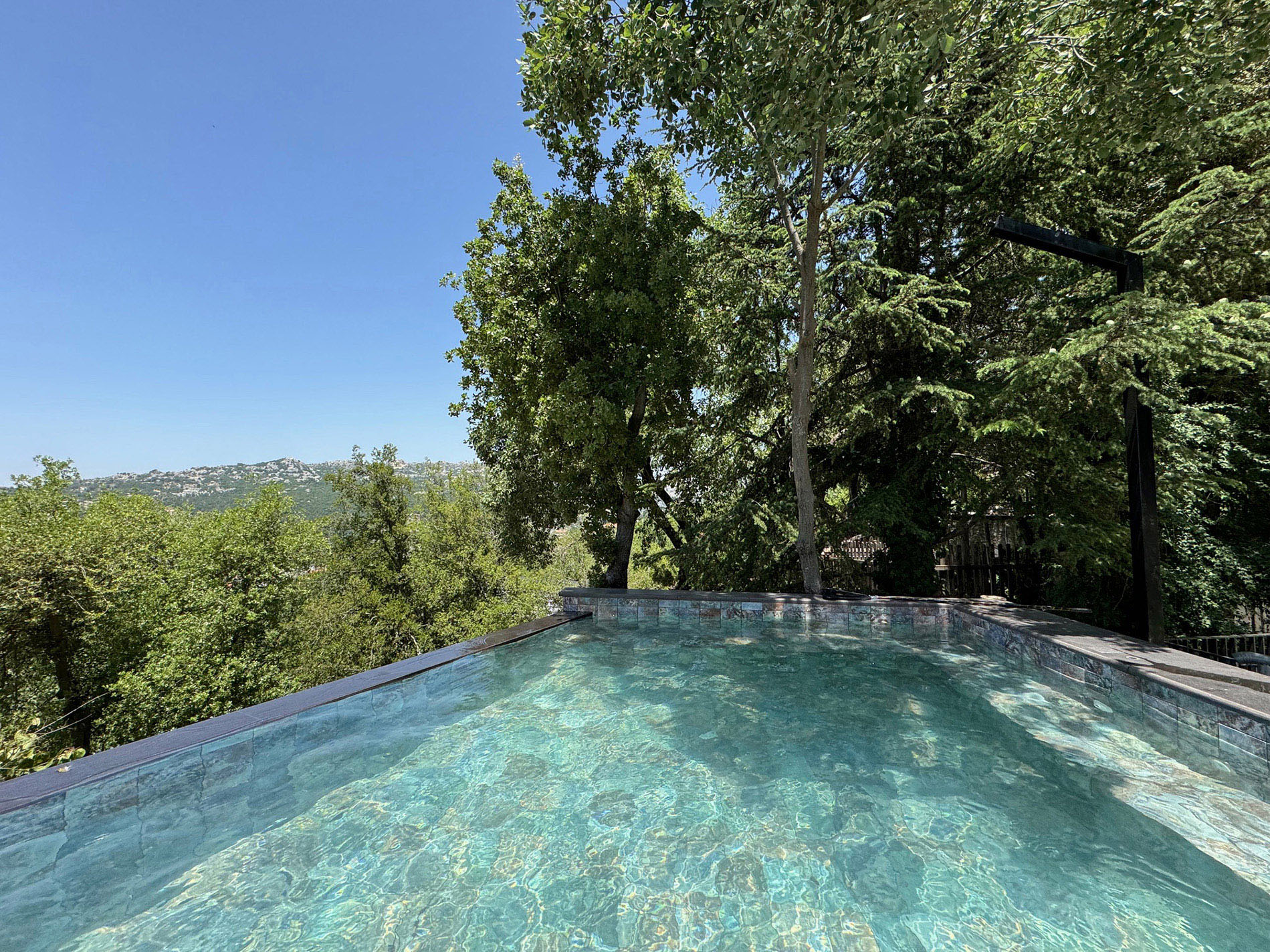 pool amidst trees